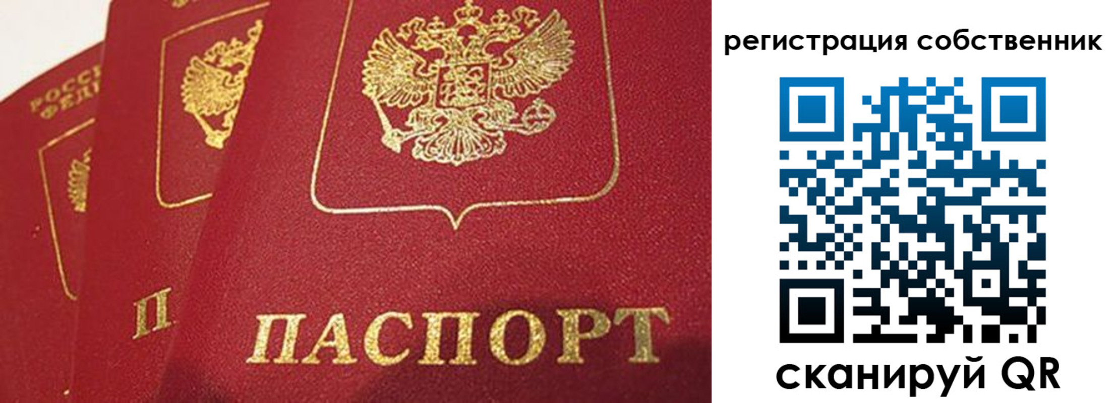 прописка штамп в Вольске