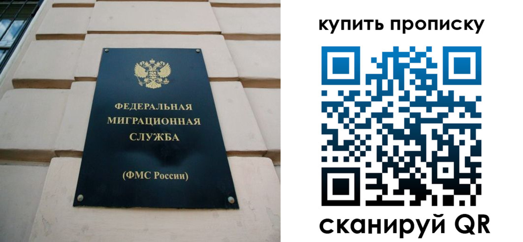 прописка регистрация в Вольске